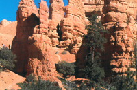 A slide presentation, titled: "Zion, Bryce, and Glen Canyon"