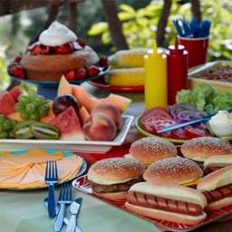 Summer Picnic for All